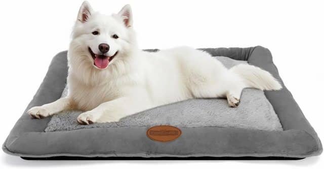 Cama acolchada para perros en color gris, diseñada con bordes elevados y un cojín central cómodo, ideal para proporcionar descanso y soporte.