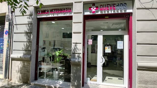 Fachada de la clínica veterinaria Quevedog, un espacio dedicado al cuidado de mascotas.