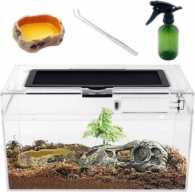 Terrarios, Acuarios y Hábitats para Mascotas: Terrario equipado para reptiles con decoración natural y sistema de iluminación UVB.